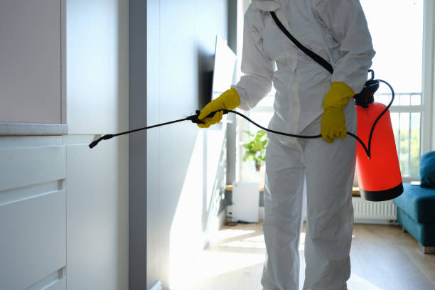 Best HVAC Mold Remediation in Sand Point, AK